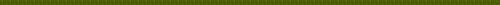 Linie